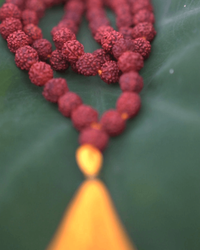 Japamala de Rudraksha Panchamukhi 108 contas - Ayur Brasil