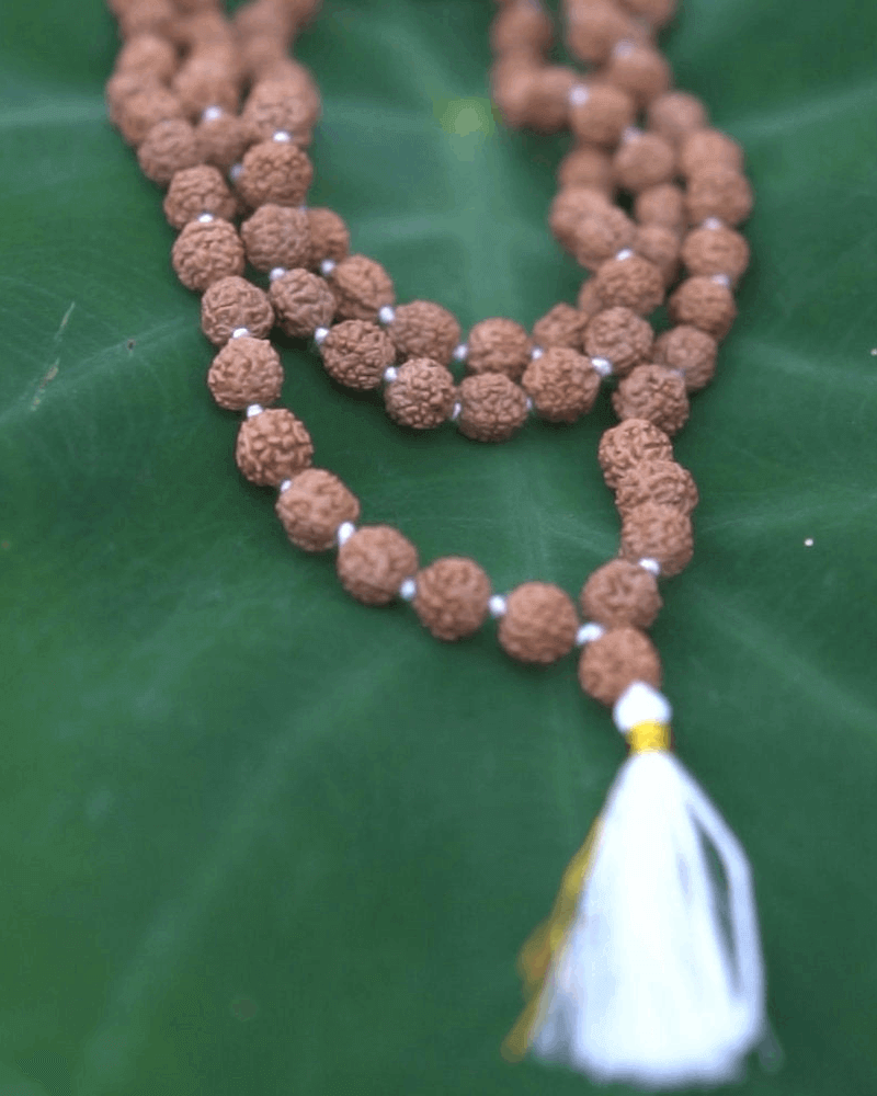 Japamala de Rudraksha Panchamukhi 108 contas - Ayur Brasil