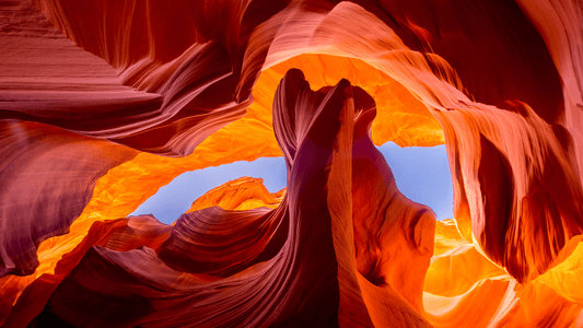 Ayurveda: princípios básicos | Doshas - Ayur Brasil