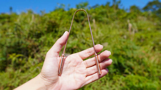 Higiene bucal: recomendações Ayurvédicas - Ayur Brasil