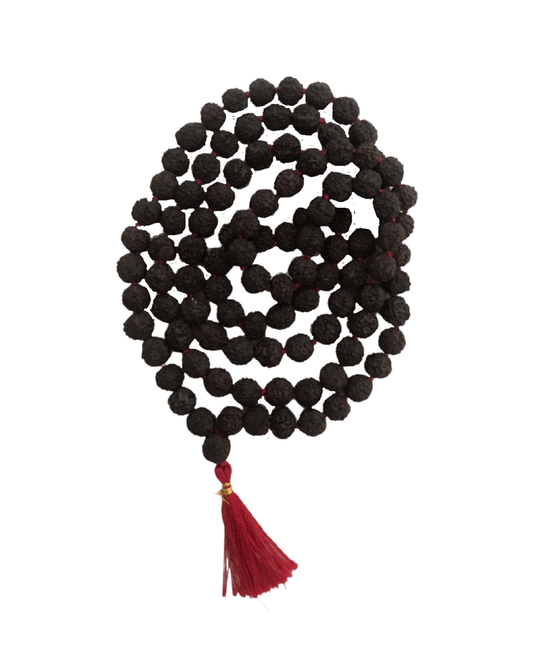 Japamala de Rudraksha Panchamukhi 108 contas - Ayur Brasil